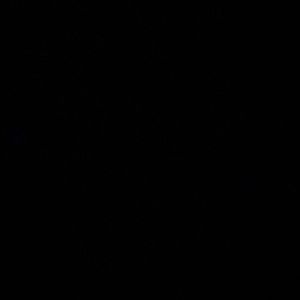 Meet your Posher, Ira